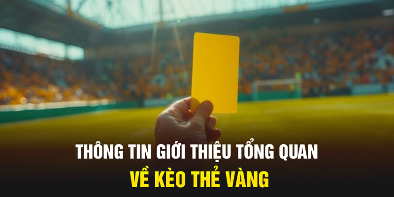 Thông tin giới thiệu tổng quan về kèo thẻ vàng