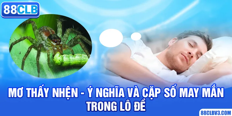 Mơ Thấy Nhện - Ý Nghĩa Và Cặp Số May Mắn Trong Lô Đề 2026 mơ thấy nhện