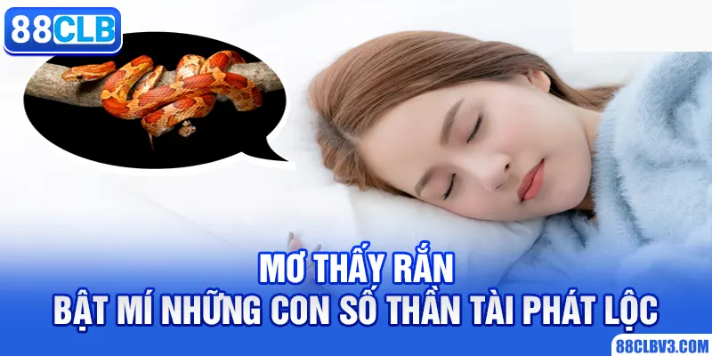 Mơ Thấy Rắn - Bật Mí Những Con Số Thần Tài Phát Lộc 2026 mơ thấy rắn